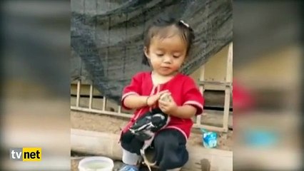 Minik Kızın Tavuk Sevgisi