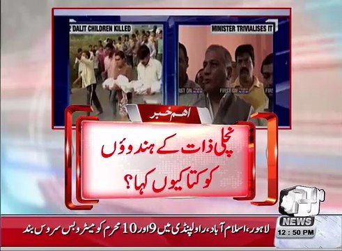 Ex-Indian army chief compares Dalit killings to 'throwing stone at a dog'