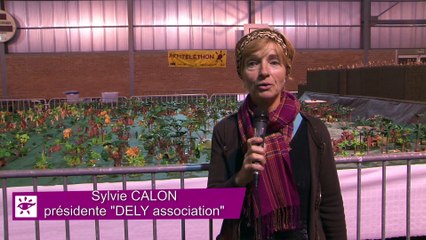 telethon 2015 à wimille diaporama de playmobils  "KING KONG"