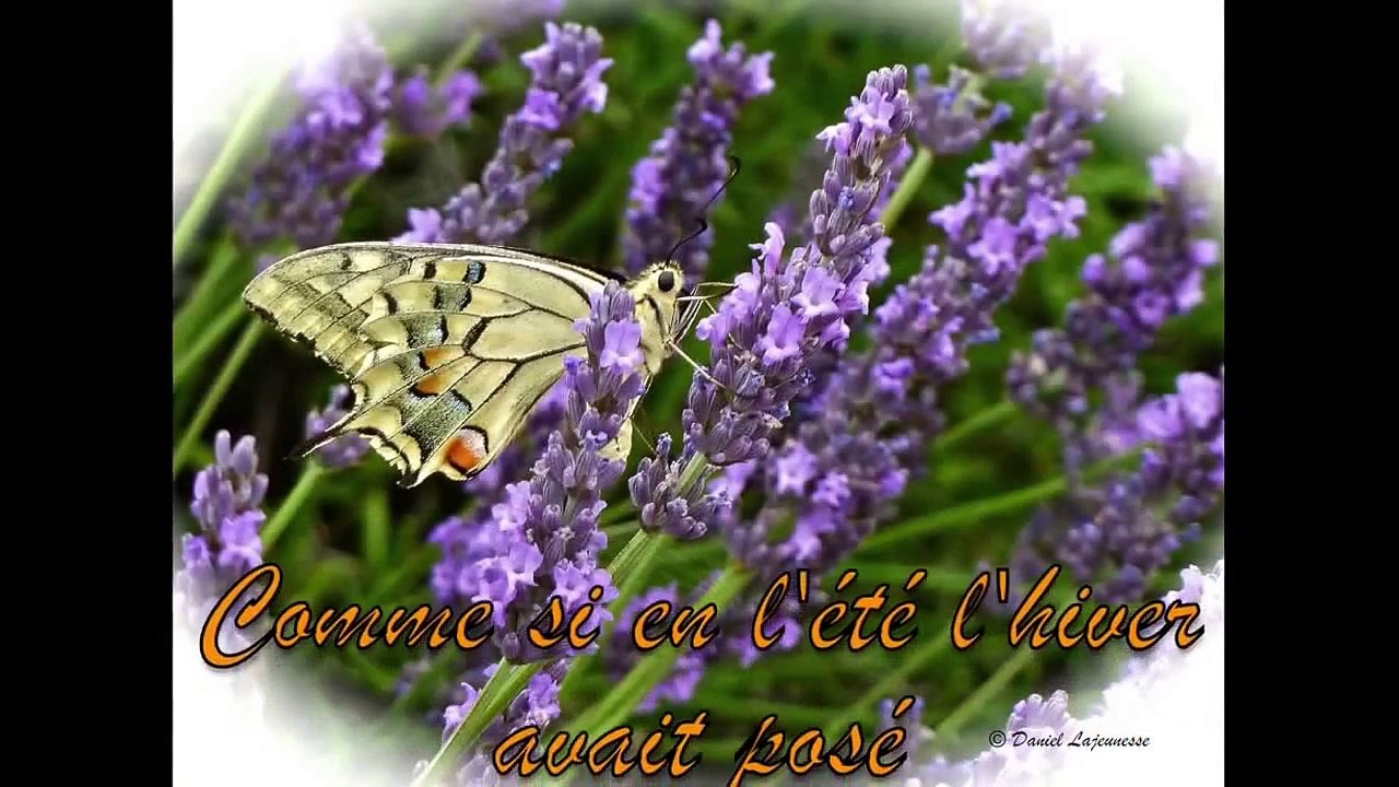 Quand la plume...