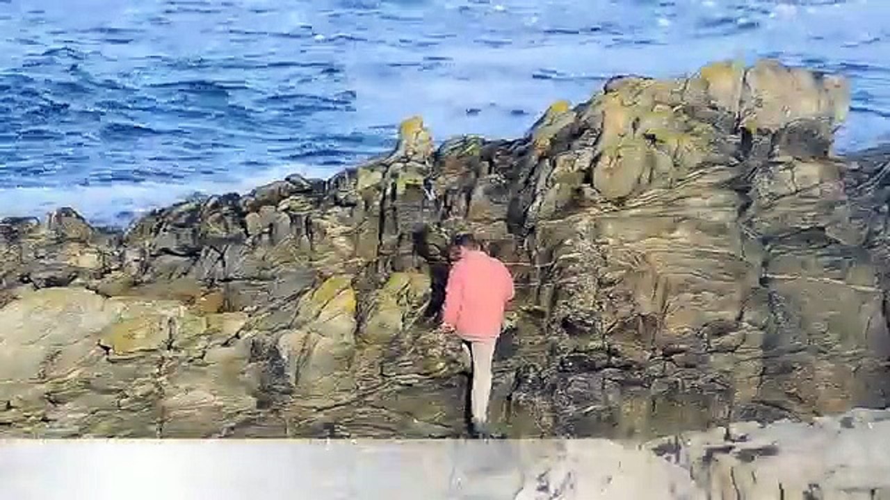 Pêche au bar du bord  5 bars pris au leurre en direct live