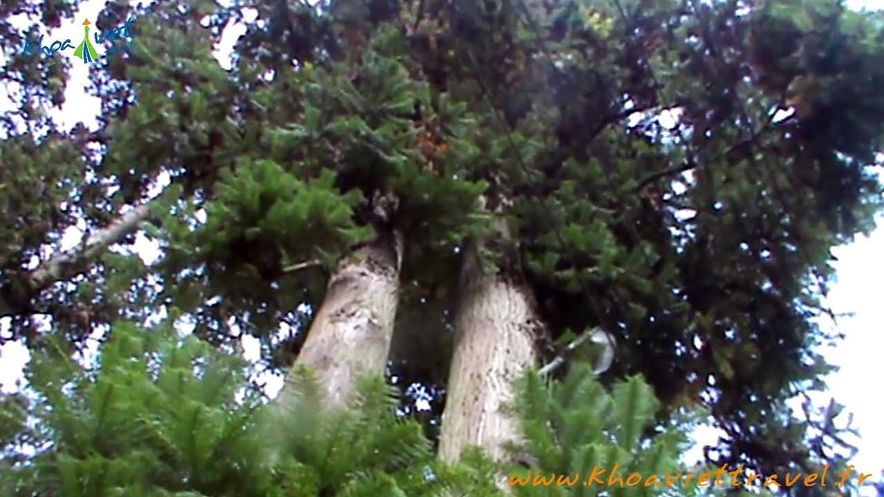 La Maison du roi H'Mong (Vua Meo) à Saphin Dong Van