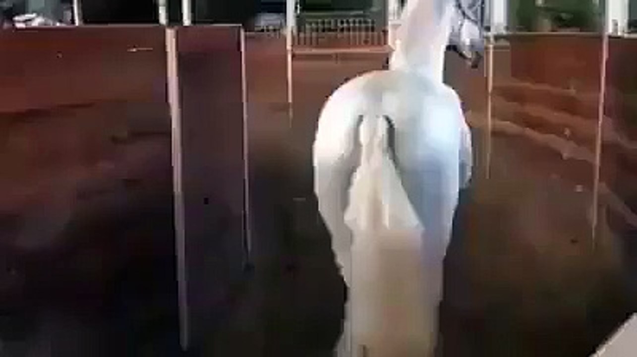 Dans la vie il y a les bogoss, et il y a.. les autres MDR