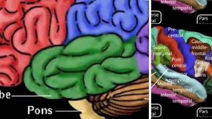 How To Boost Brain Power