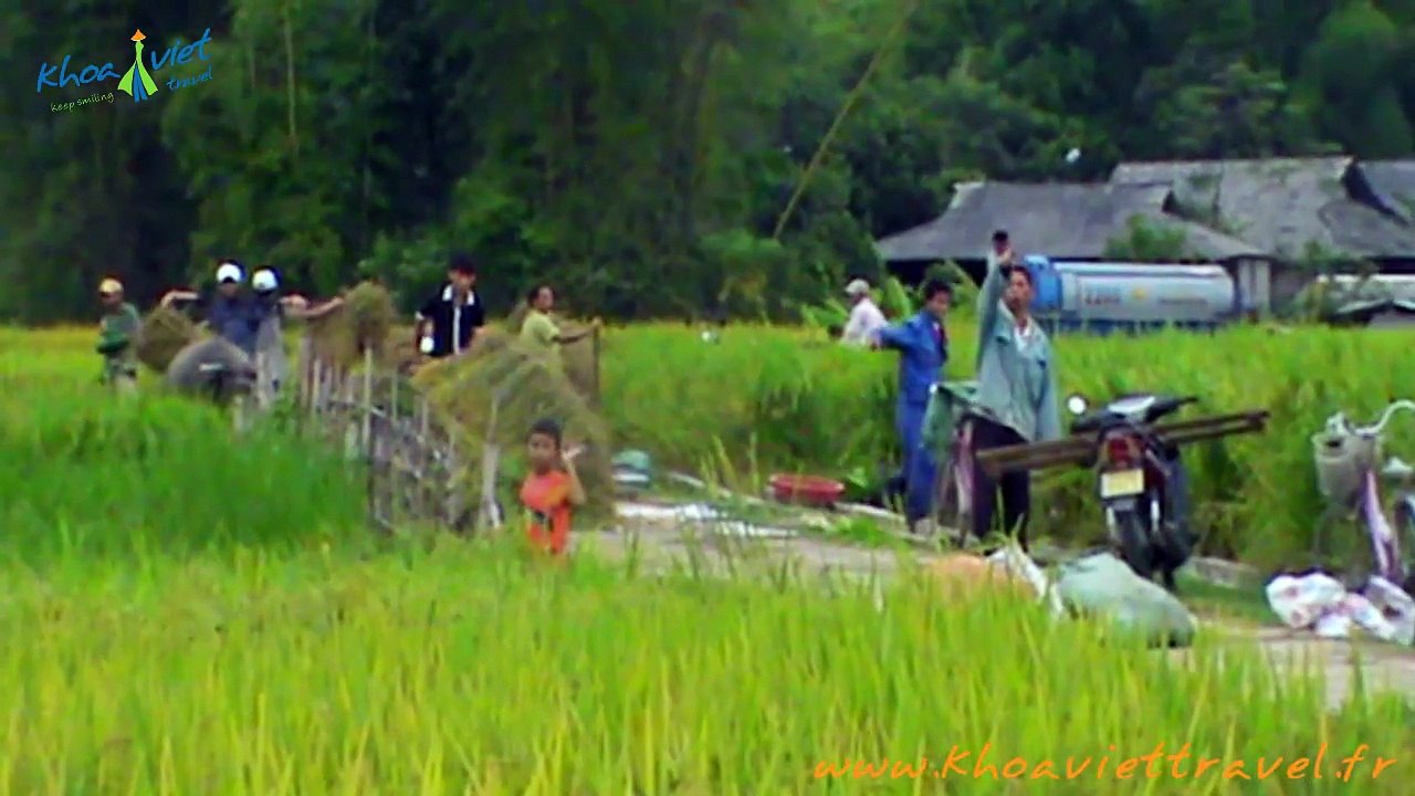 Se balader autour des rizières Nghia Lo - YENBAI - VIETNAM
