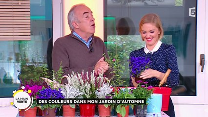 Des couleurs dans mon jardin d’automne