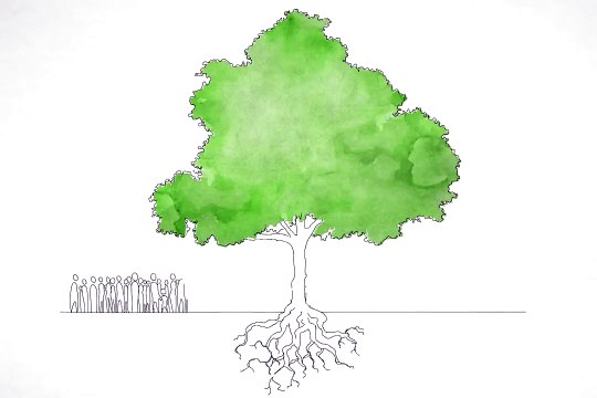 « Tu connais l'ESS » : une vidéo-découverte pour les jeunes