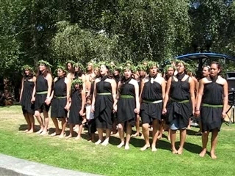 Champ_maori_1
