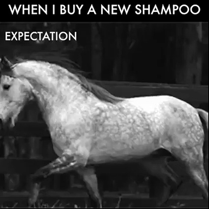When You Buy a New Shampoo