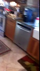 Ghost attack and Poltergeist Activity Caught on Tape!