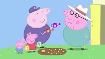 Peppa Pig Peppa and Georges Garden
