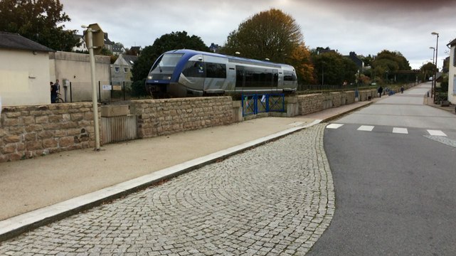 Manifestation en mémoire de Rémi Fraisse