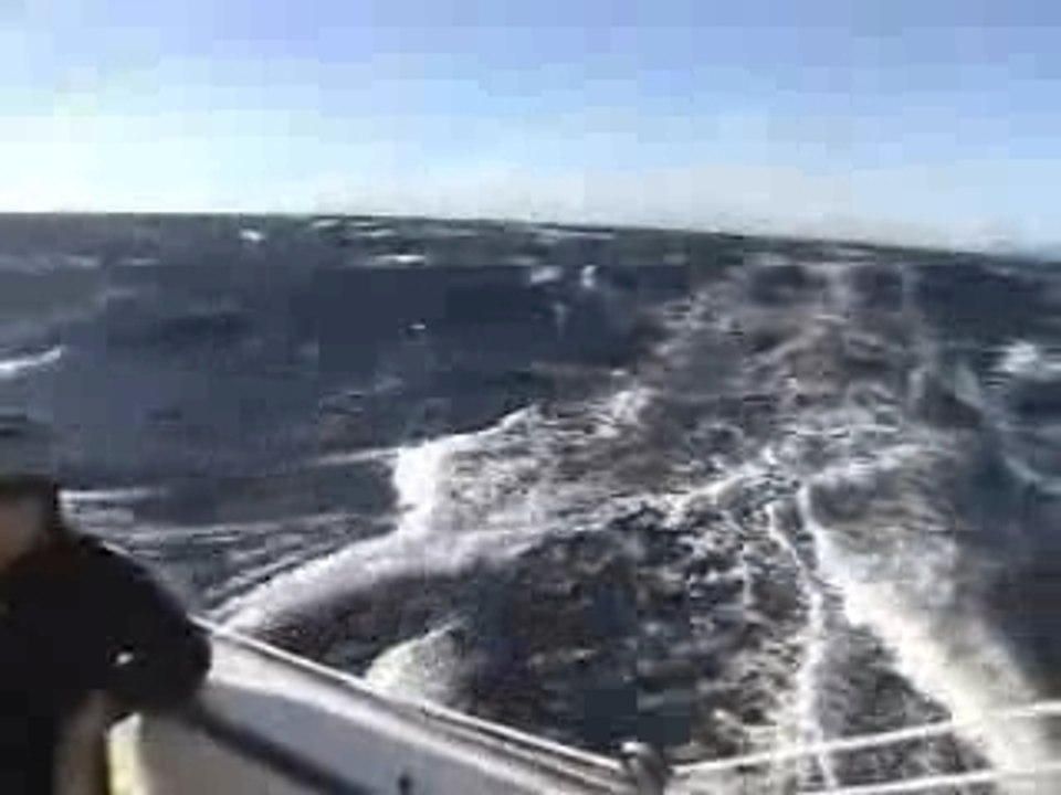 Max. Speed 22.4 knots