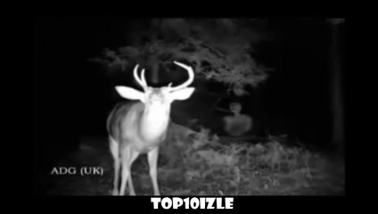 Gerçek Hayalet ve Ruh Videoları (Top10)