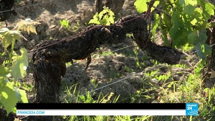 10/23/2015 ENMG YOU ARE HERE 1024 (1): Ep   1