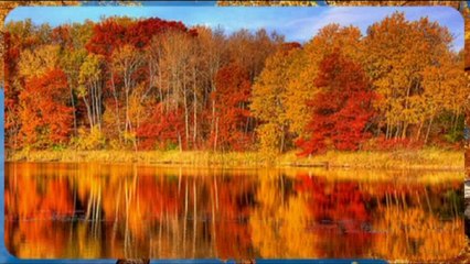 ВАЛЕРИЯ - «ФОРМУЛА СЧАСТЬЯ». НОВАЯ ВОЛНА 2015