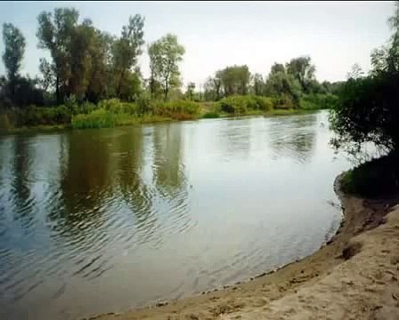 вот так порыбачили