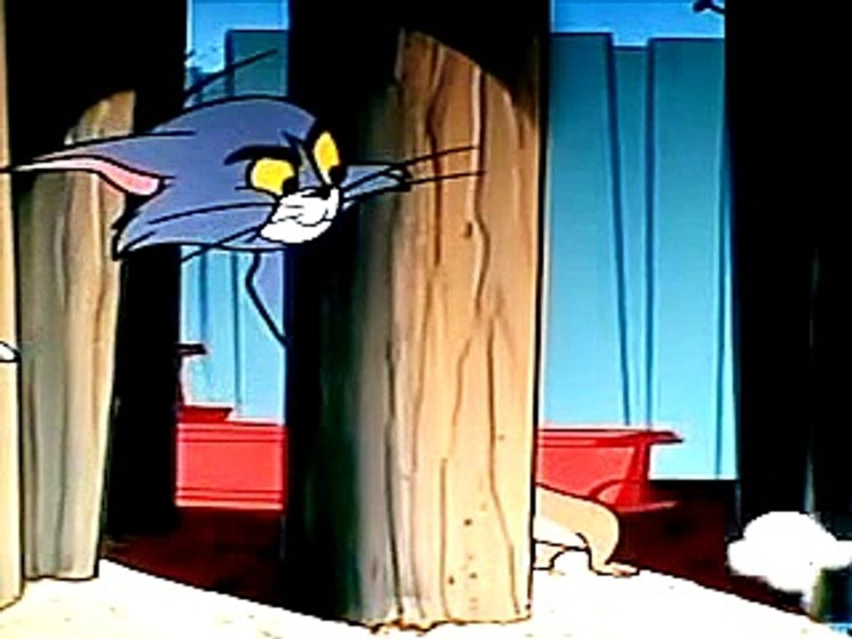 Tom And Jerry Cartoon The Brothers RRY Mouse O