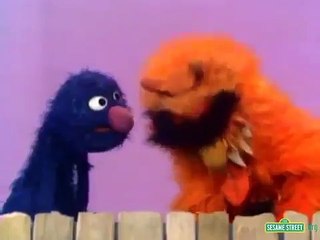 Sesame Street Grover & Frazzle