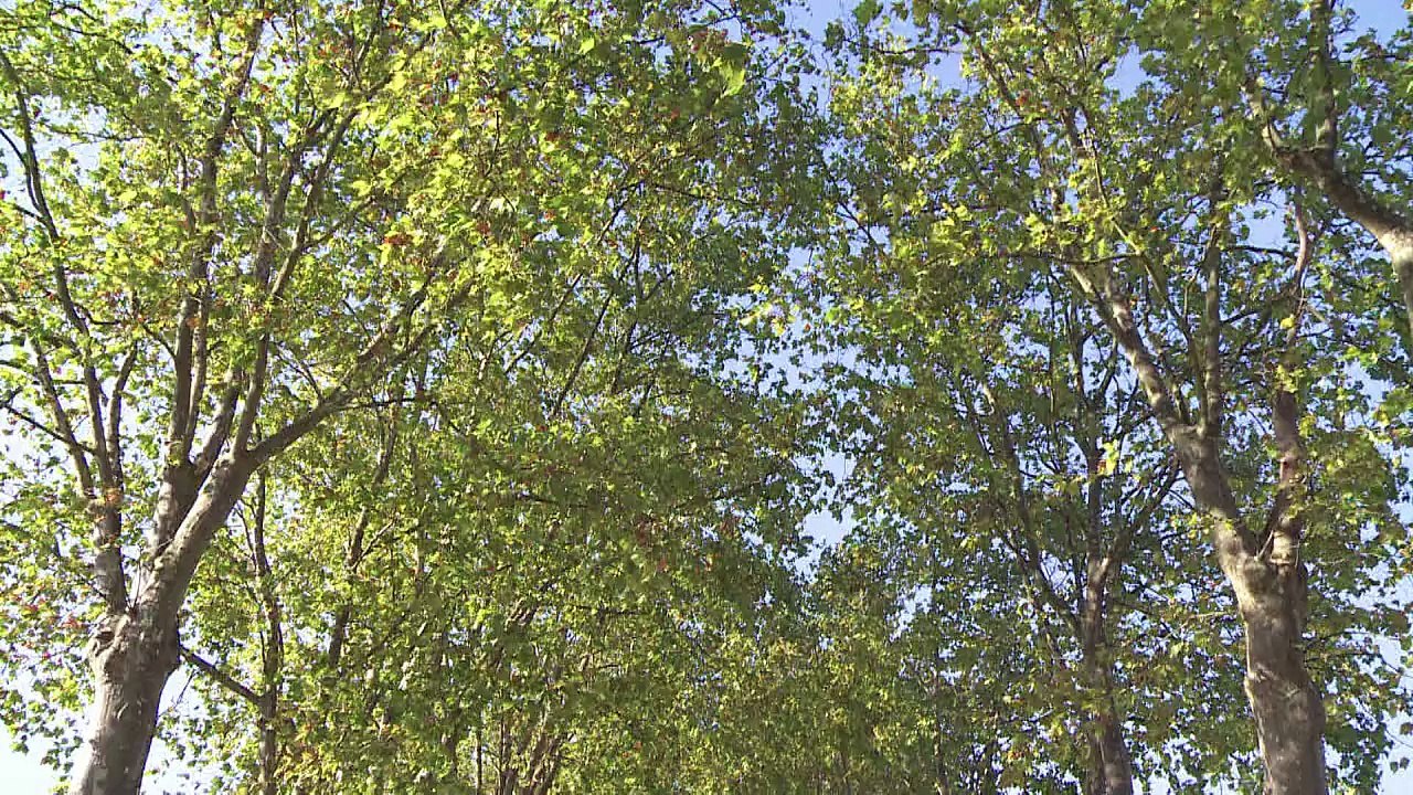 A touch of the modern for two century old Château Margaux