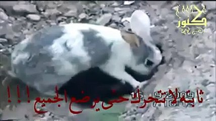 فيديو اعجز عن وصفه وفقط اقول سبحان الله