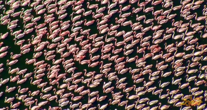 С высоты птичьего полёта