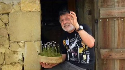 Drôles de carnivores. Utricularia dichotoma Jean-Jacques Labat