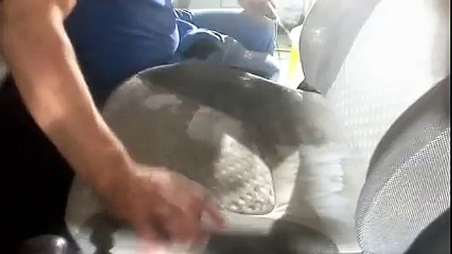 Buharlı oto yıkama makinası