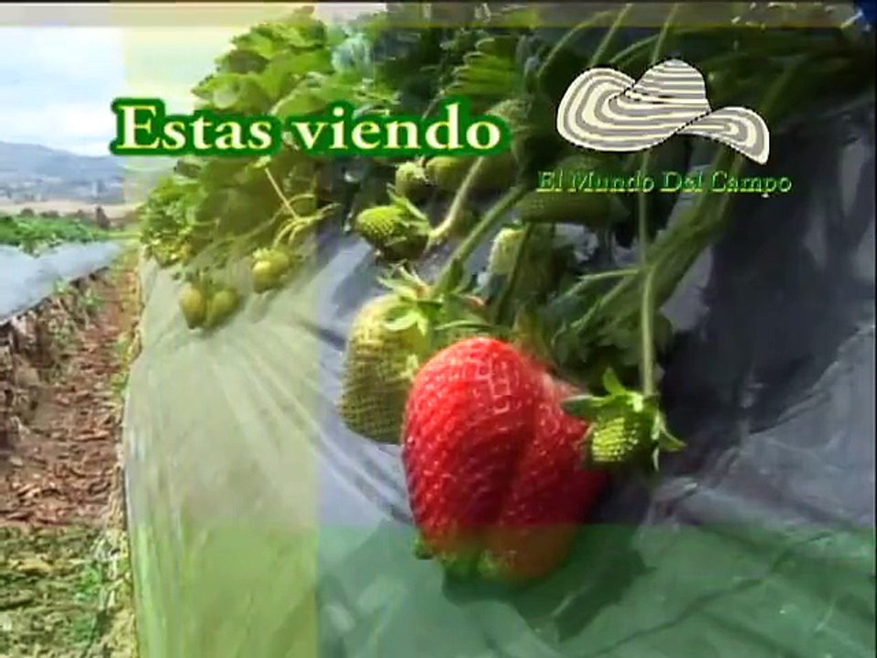 23 OCTUBRE 2012