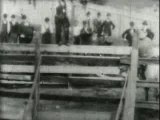 1894 - Bucking Bronco