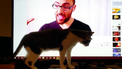 My other cat troll (October 20th 2015 - 9:03 PM)