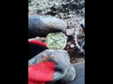 NAPOLEON POD GDASKIEM-bouton napoléonienne,metal detecting treasure hunting,la détection de métal
