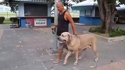 Don't Mess with the Mother