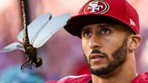 Colin Kaepernick Gets Scared by a Dragonfly During Game vs Seahawks