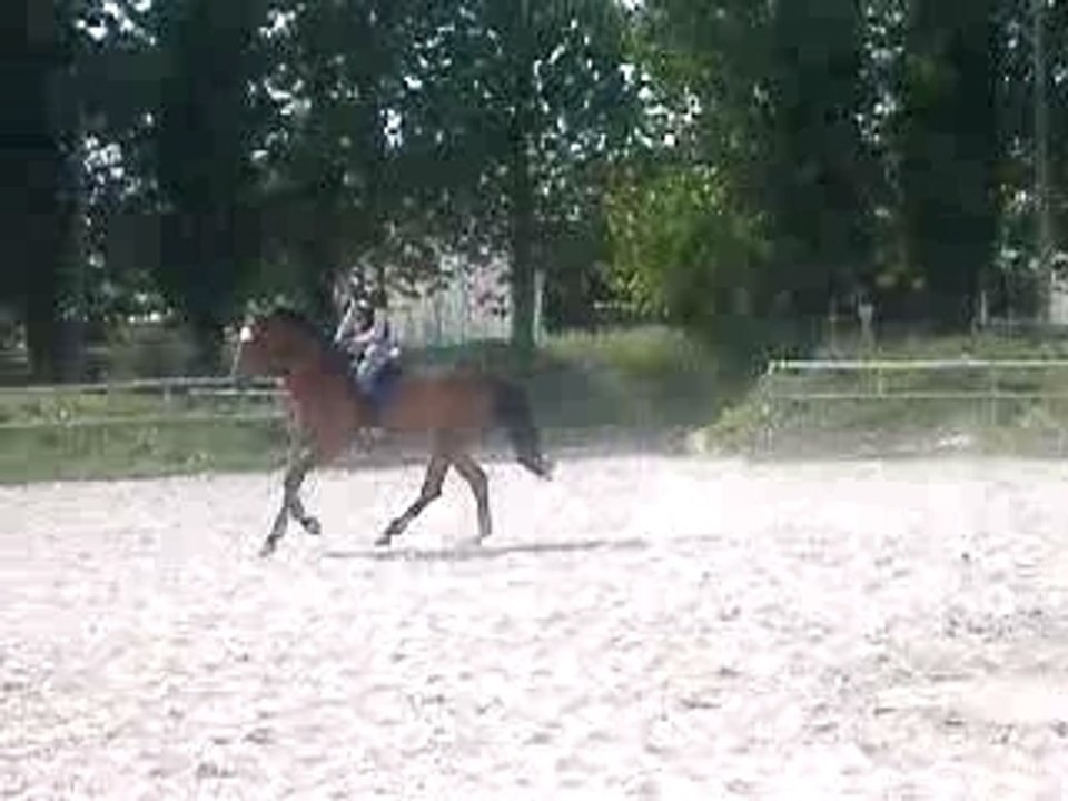 Helene et Fort