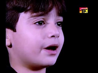 Kiya Muhammad Ka Pyara Nahi Hun, Ali Shanawar & Ali jee 2013