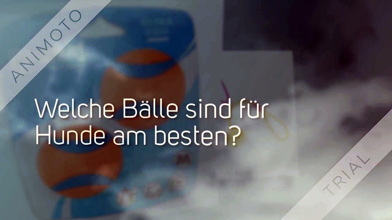Ballwurfmaschine Hund