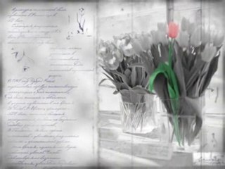 belle étoile ❇...