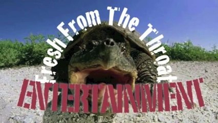 Paranormal Modeling Promo