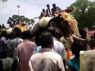 KILLER ELEPHANT ATTACK IN KERALA INDIA