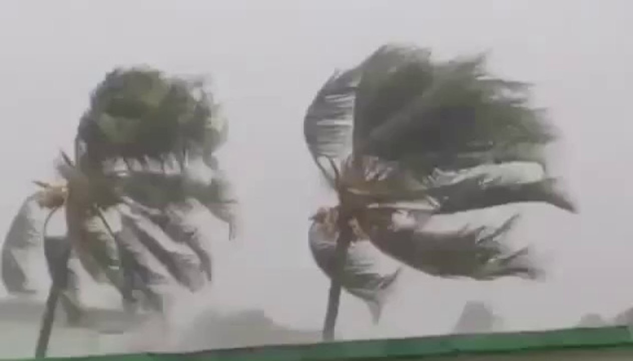 Colima Huracán Patricia