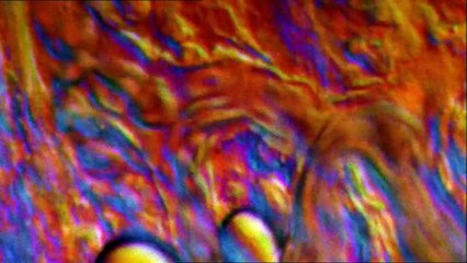 [Parte 2]Viagem ao Interior do Corpo Humano (subPT)