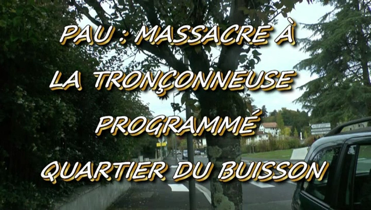 LES W-D.D. MICHOU NEWS - 23 OCTOBRE 2015 - PAU - QUARTIER DU BUISSON MASSACRE À LA TRONÇONEUSE PROGRAMMÉ.
