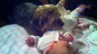 051 Dogs and cats protecting babies Cute animal compilation