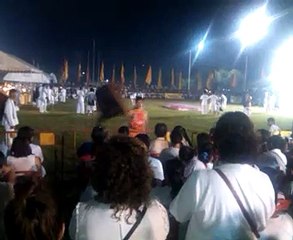 2015.10.18 festival vegetarien