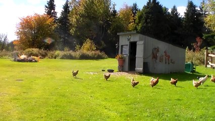 Nova Scotia, CA 2015