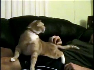 The Greatest Scratch of All-Time!