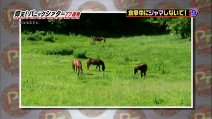 仰天パニックシアター　食事中にジャマしないで！