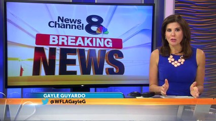 Small plane crashes near elementary school in Spring Hill