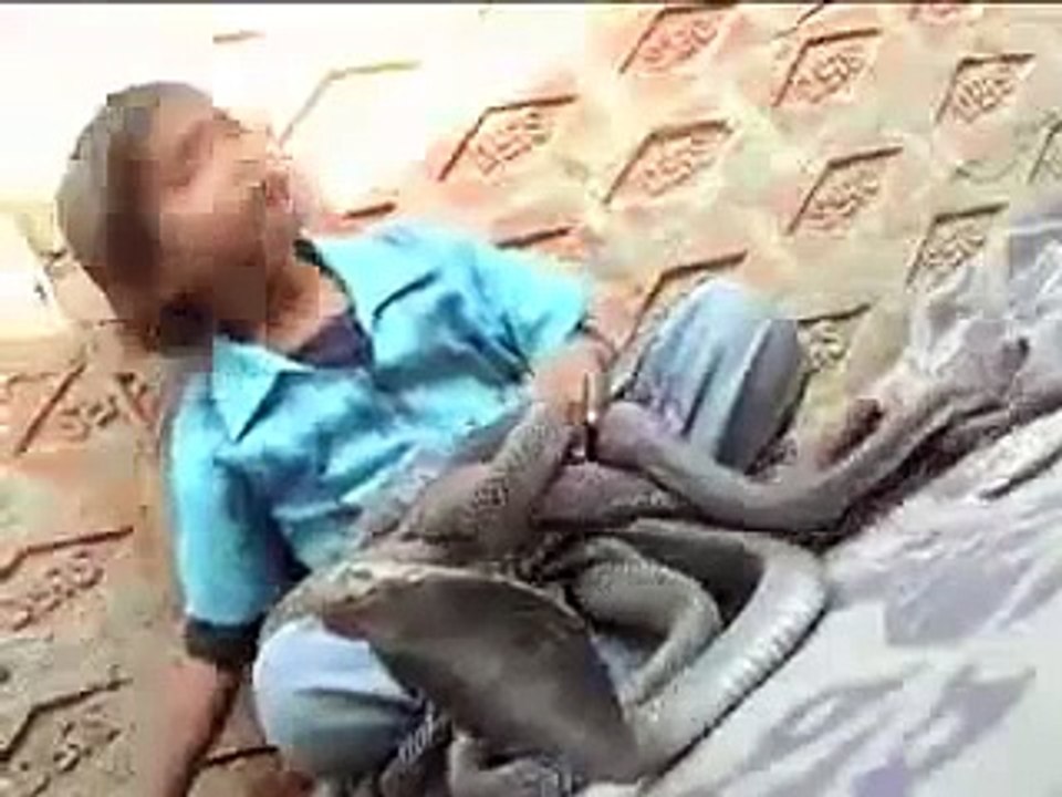 Girls live together with cobra